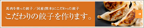 こだわりの餃子を作ります